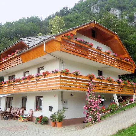 Fine Stay Apartments Zirovnica Exterior photo