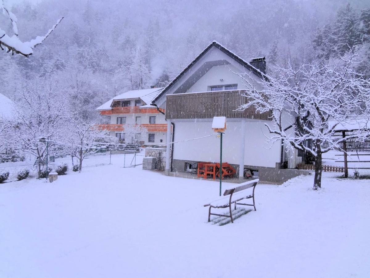 Fine Zirovnica
