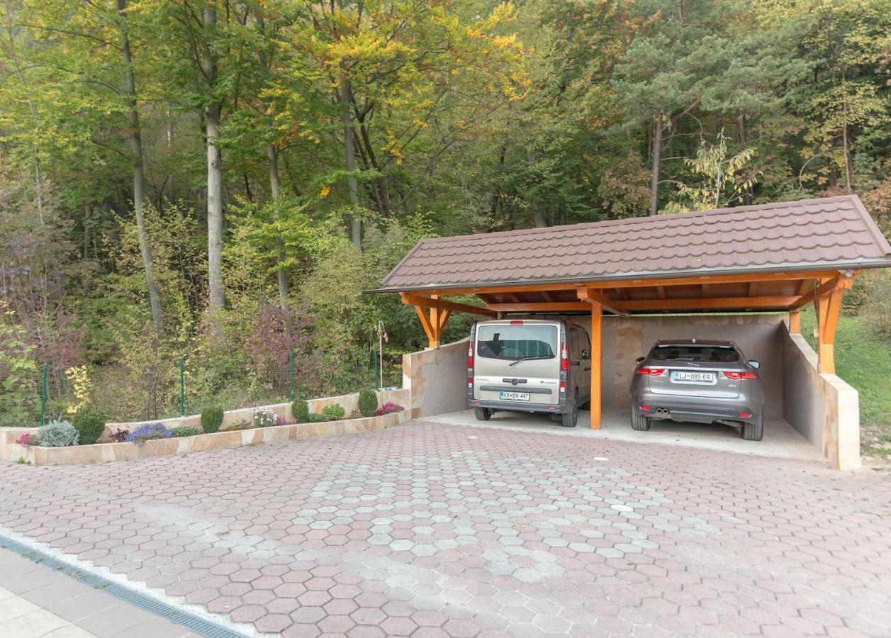 Fine Zirovnica