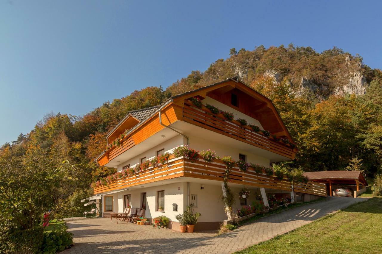 Fine * Zirovnica