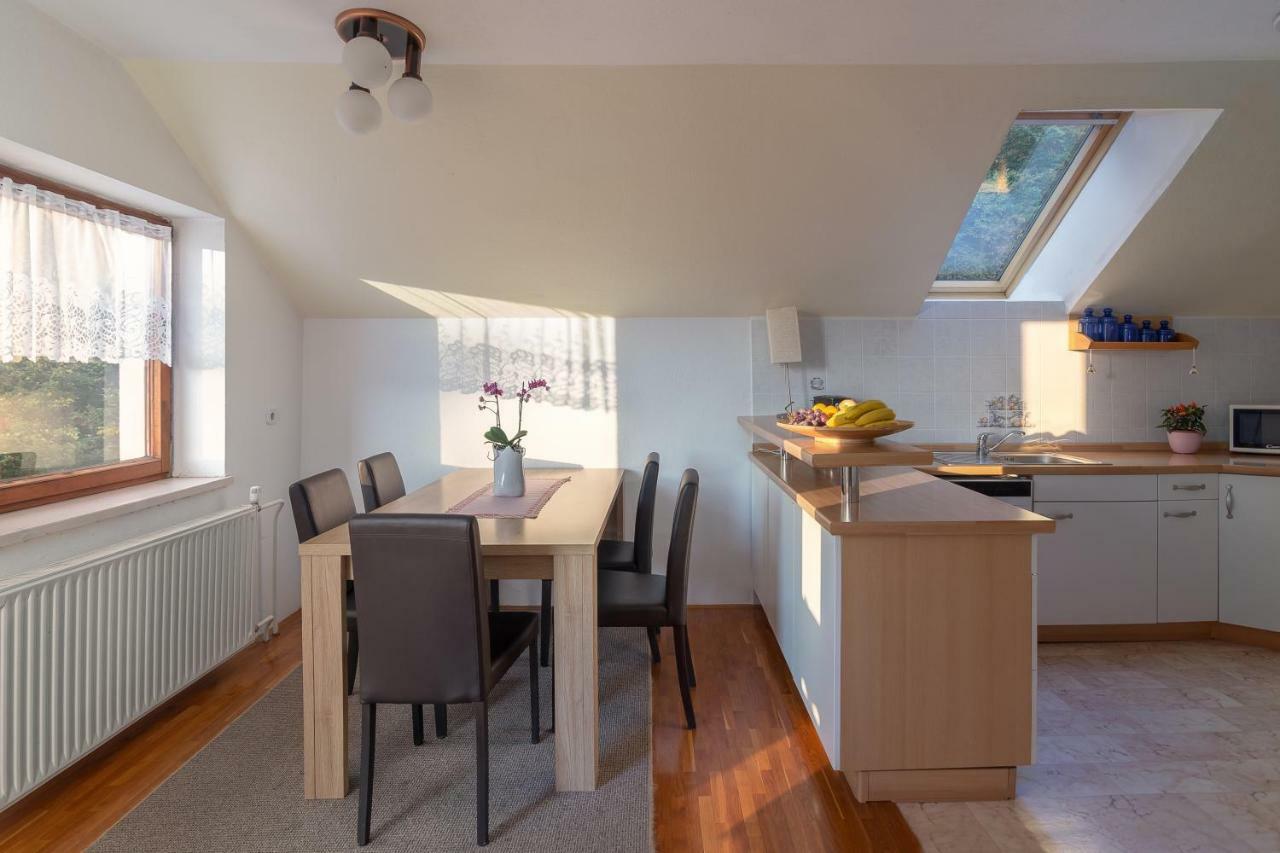 Apartment Fine Zirovnica